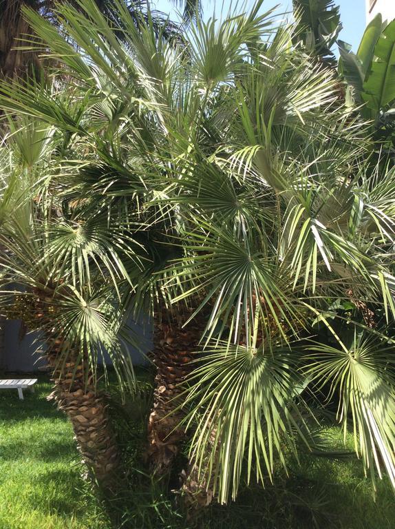 Ucciardhome Hotel Palermo Exteriér fotografie