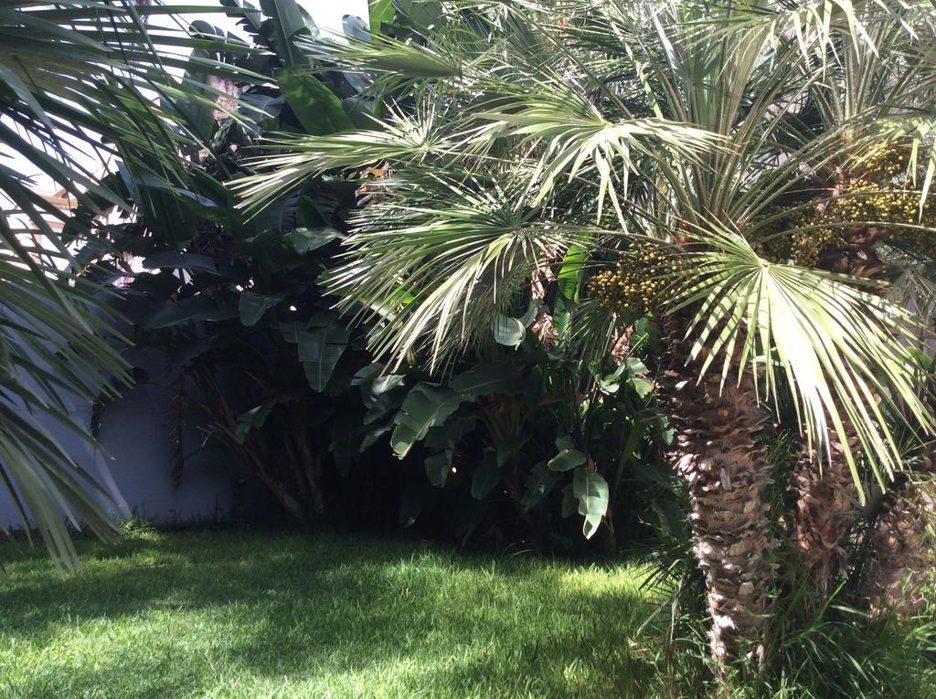 Ucciardhome Hotel Palermo Exteriér fotografie